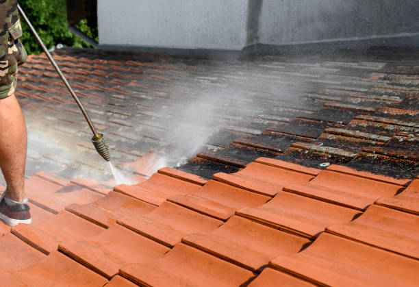 Best Pressure Washing Company Near Me  in Mentor On The Lake, OH