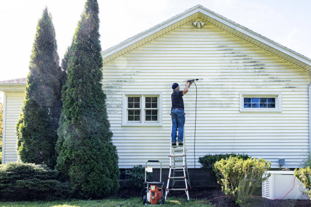 Best Local Pressure Washing Services  in Mentor On The Lake, OH
