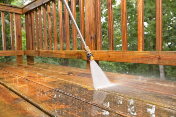 Best Roof Power Washing Services  in Mentor On The Lake, OH